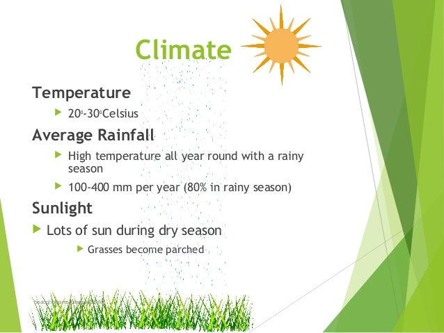 Tropical Grasslands Savanna