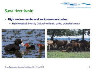 Sava river basin
• High environmental and socio-economic value
      – High biological diversity (natural wetlands, parks, protected areas)




River Restoration Seminar, Ljubljana, 16-18 Nov 2011                           8
 