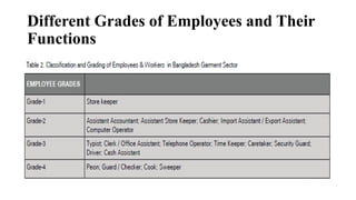 Different Grades of Employees and Their
Functions
 