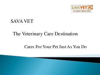 SAVA VET

The Veterinary Care Destination
Cares For Your Pet Just As You Do

 