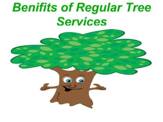 Benifits of Regular Tree
Services