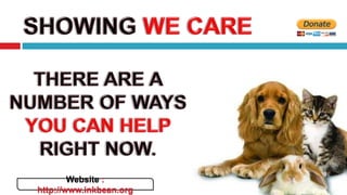 Website :
http://www.inkbean.org
 