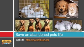 Save an abandoned pets life
Website : http://www.inkbean.org
 