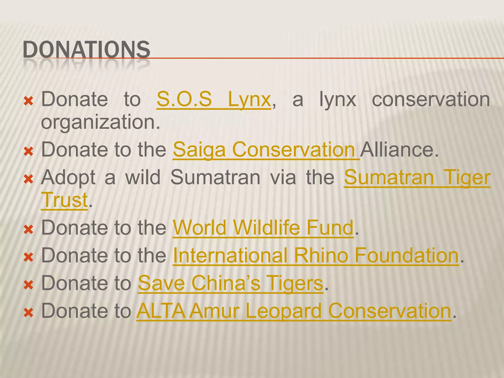 DONATIONS
Donate to S.O.S Lynx, a lynx conservation
organization.
Donate to the Saiga Conservation Alliance.
Adopt a wild Sumatran via the Sumatran Tiger
Trust.
Donate to the World Wildlife Fund.
Donate to the International Rhino Foundation.
Donate to Save China’s Tigers.
Donate to ALTA Amur Leopard Conservation.