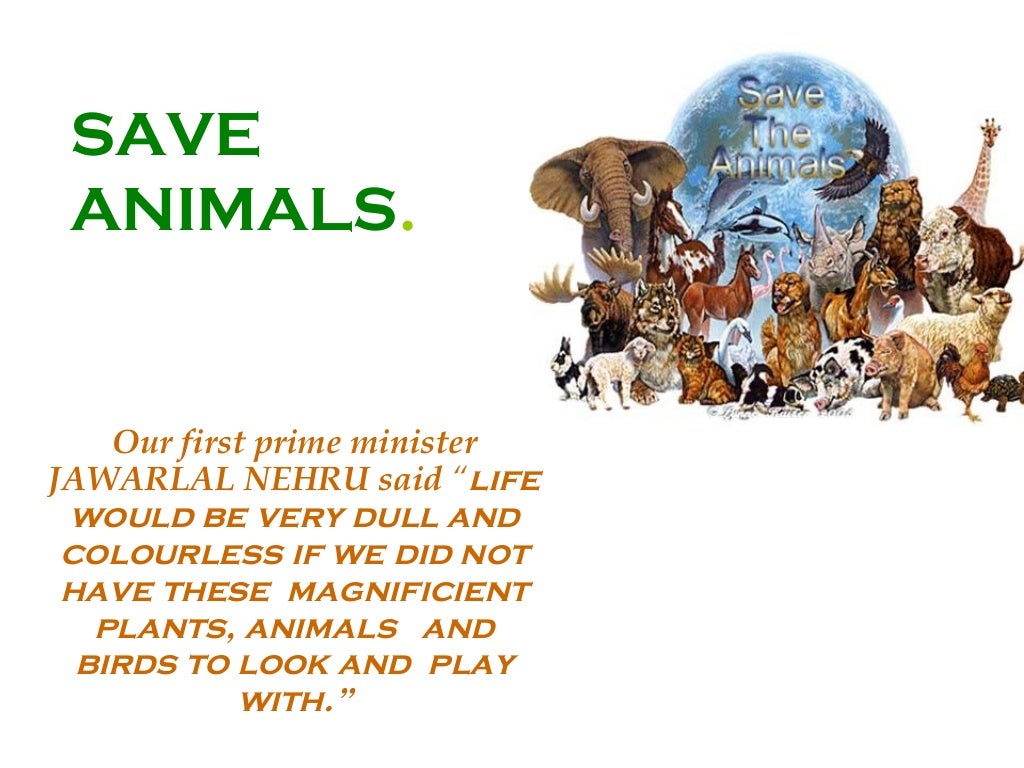 Save animals