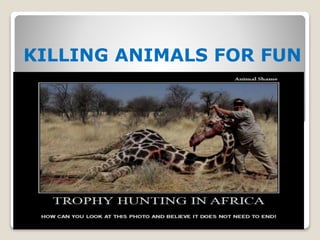 KILLING ANIMALS FOR FUN
 