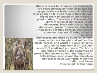 Rhino is short for Rhinoceros. Rhinoceros
are characterized by their large size and
they generally eat leafy material, although
their ability to ferment food in their hindgut
allows them to subsist on more fibrous
plant matter, if necessary. There are five
diffrent kinds of rhinoceros, white
rhinoceros, black rhinoceros, indian
rhinoceros, javan rhinoceros, sumatran
rhinoceros but they have all one thing in
common they are all being killed by
humans.
Rhinoceros are killed by humans for their
horns, which are bought and sold on the
black market, and which are used by some
cultures for ornamental or (pseudo-
scientific) medicinal purposes. The horns
are made of keratin, the same type of
protein that makes up hair and fingernails.
Both African species and the Sumatran
rhinoceros have two horns, while the
Indian and Javan
They killed for the horn.
 