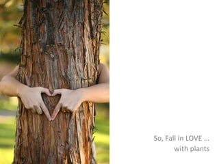 So, Fall in LOVE …
with plants