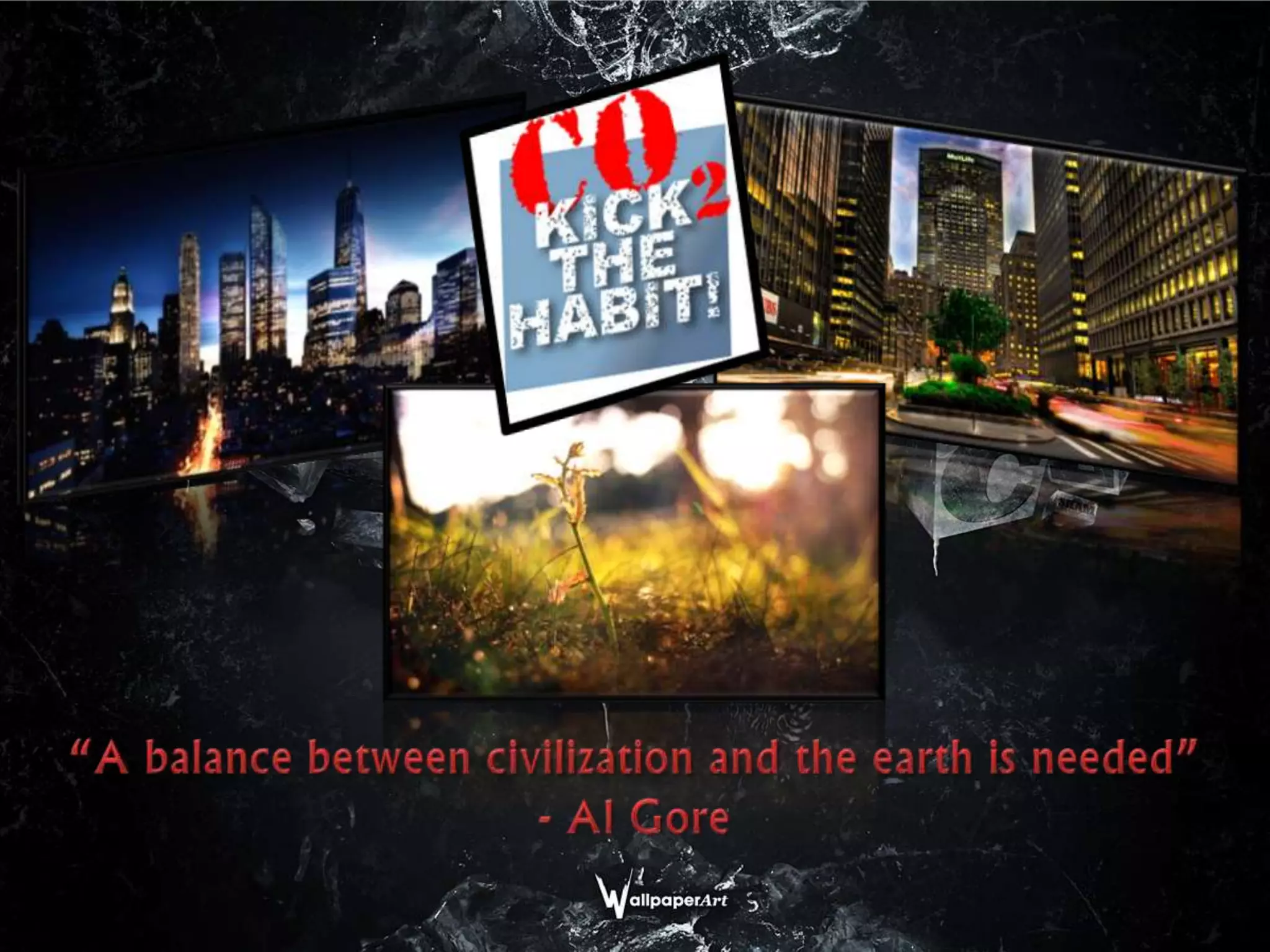 “A balance between civilization and the earth is needed”- Al Gore