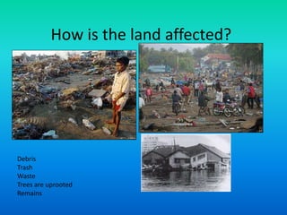 How is the land affected?DebrisTrashWasteTrees are uprootedRemains