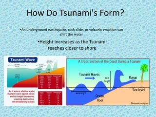 How Do Tsunami's Form?An underground earthquake, rock slide, or volcanic eruption can shift the water