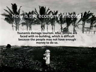 How is the economy affected?Tsunamis damage tourism. Also, people are faced with re-building, which is difficult because the people may not have enough money to do so.
