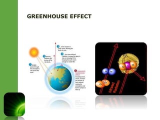 GREENHOUSE EFFECT 
 