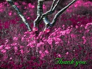 Save Environmen.pptx