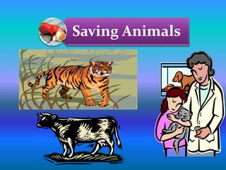 Saving Animals
 