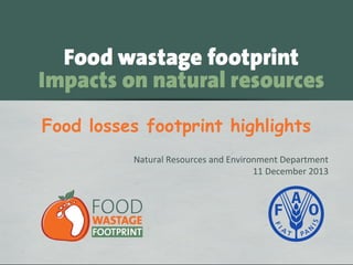 Food losses footprint highlights
Natural Resources and Environment Department
11 December 2013

 
