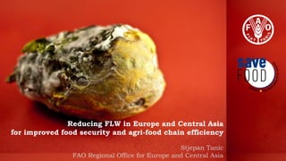 Reducing FLW in Europe and Central Asia
for improved food security and agri-food chain efficiency
Stjepan Tanic
FAO Regional Office for Europe and Central Asia
 