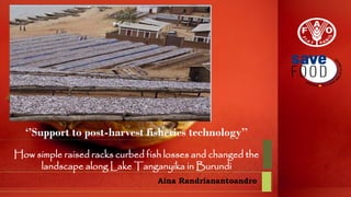 ‘’Support to post-harvest fisheries technology’’
How simple raised racks curbed fish losses and changed the
landscape along Lake Tanganyika in Burundi
Aina Randrianantoandro
 