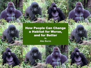 How People Can Change
  a Habitat for Worse,
     and for Better
           By
       Alec Burns
 