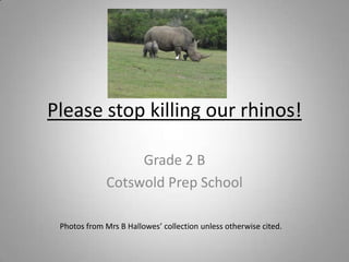 Please stop killing our rhinos!
Grade 2 B
Cotswold Prep School
Photos from Mrs B Hallowes’ collection unless otherwise cited.
 