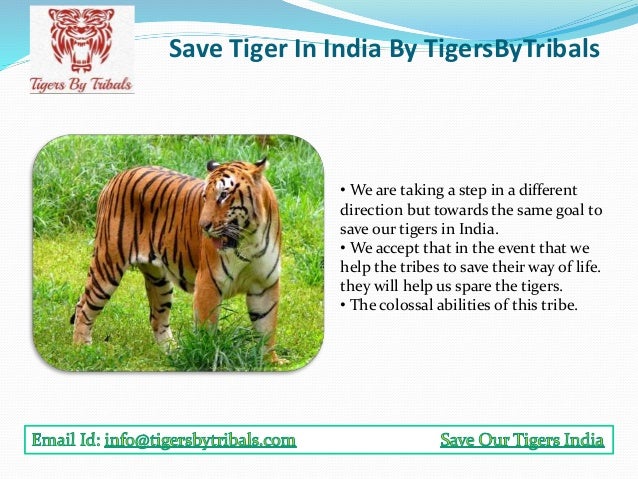 Save tiger letter writing picture