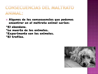 Algunas de las consecuencias que podemos
encontrar en el maltrato animal serian:
*El abandono.
*La muerte de los animales.
*Experimento con los animales.
*El trafico.


 