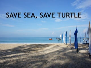 SAVE SEA, SAVE TURTLE
 