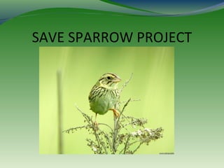 SAVE SPARROW PROJECT
 