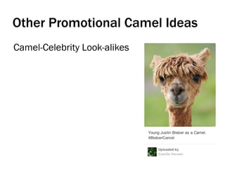Other Promotional Camel Ideas
Camel-Celebrity Look-alikes
 