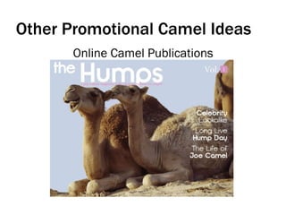 Online Camel Publications
Other Promotional Camel Ideas
 