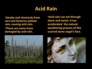 Acid RainAcid rain can eat through stone and metal. It has accelerated  the natural weathering process of this scarred stone angel's face.