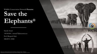 Wildlife Conservation Network Presents:
Save the
Elephants®
Saeeda Ansari
149140188 | sansari27@myseneca.ca
Prof. Bhupesh Shah
MKM915: MMS
 