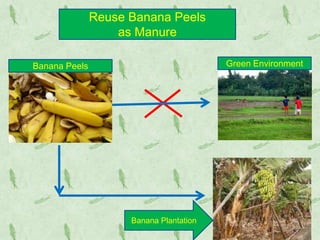 Save the environment slides | PPTX