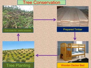Tree Conservation




Cut a tree for useful purpose           Prepared Timber




 Tree Planting                         Wooden Decker Bed
 