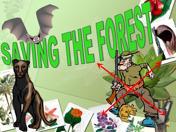 save the forest