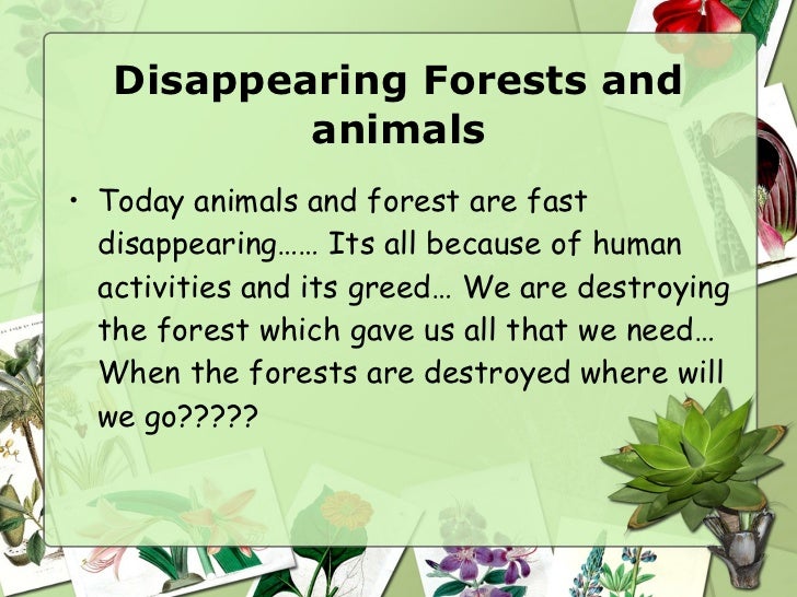 save the forest