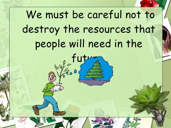 save the forest