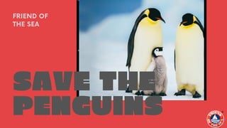 SAVE THE
PENGUINS
FRIEND OF
THE SEA
 