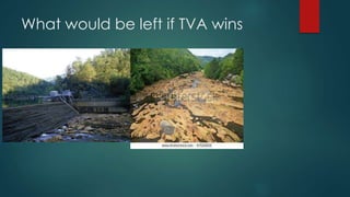 What would be left if TVA wins
 
