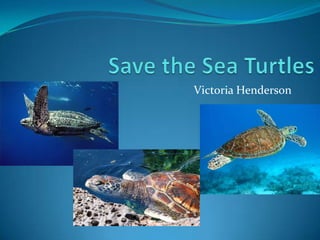 Save the Sea Turtles Victoria Henderson 