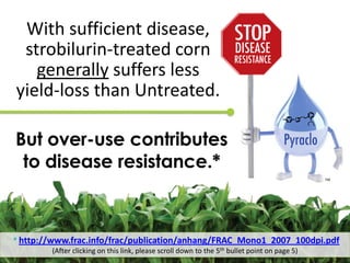 With sufficient disease,
 strobilurin-treated corn
   generally suffers less
yield-loss than Untreated.

But over-use contributes
 to disease resistance.*
                                                                                              TM




* http://www.frac.info/frac/publication/anhang/FRAC_Mono1_2007_100dpi.pdf
        (After clicking on this link, please scroll down to the 5th bullet point on page 5)
 