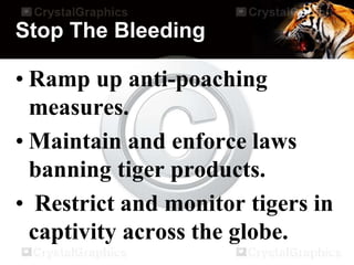 Stop The Bleeding
• Ramp up anti-poaching
measures.
• Maintain and enforce laws
banning tiger products.
• Restrict and monitor tigers in
captivity across the globe.
 