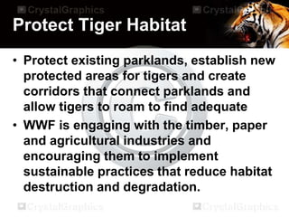 Protect Tiger Habitat
• Protect existing parklands, establish new
protected areas for tigers and create
corridors that connect parklands and
allow tigers to roam to find adequate
• WWF is engaging with the timber, paper
and agricultural industries and
encouraging them to implement
sustainable practices that reduce habitat
destruction and degradation.
 