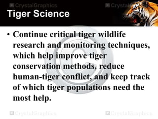 Tiger Science
• Continue critical tiger wildlife
research and monitoring techniques,
which help improve tiger
conservation methods, reduce
human-tiger conflict, and keep track
of which tiger populations need the
most help.
 