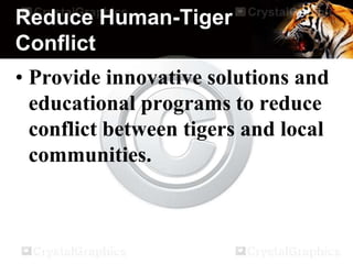 Reduce Human-Tiger
Conflict
• Provide innovative solutions and
educational programs to reduce
conflict between tigers and local
communities.
 