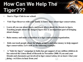How Can We Help The
Tiger???
• Start a Tiger Club in our school.
• Visit Tiger Reserves with your family to know more about tiger conservation.
• Learn all you can about tigers, and teach others about the threats to tigers.
Teaching people about the dangers tigers face is an important part of bringing
about change.
• Raise money and make a donation to a tiger conservation organization.
• Kids can teach people about the plight of tigers and raise money to help support
tiger conservation. Let's look at the following example:
• A "kids for tigers" campaign in India has got support of one million children &
has entered the Limca Book of Records in November 2000. If you and your
friends and classmates get involved in tiger conservation, let us know what your
doing - we'd love to hear from you!
 