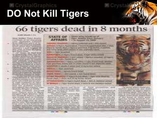 DO Not Kill Tigers
 