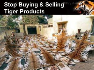 Stop Buying & Selling
Tiger Products
 