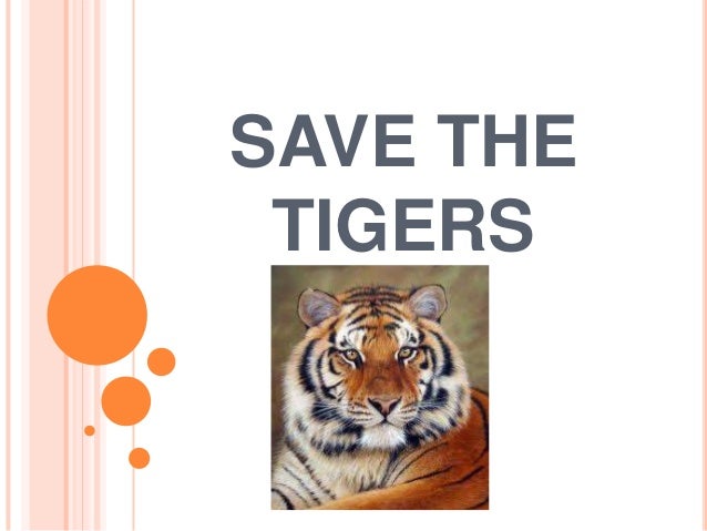 Save the tigers