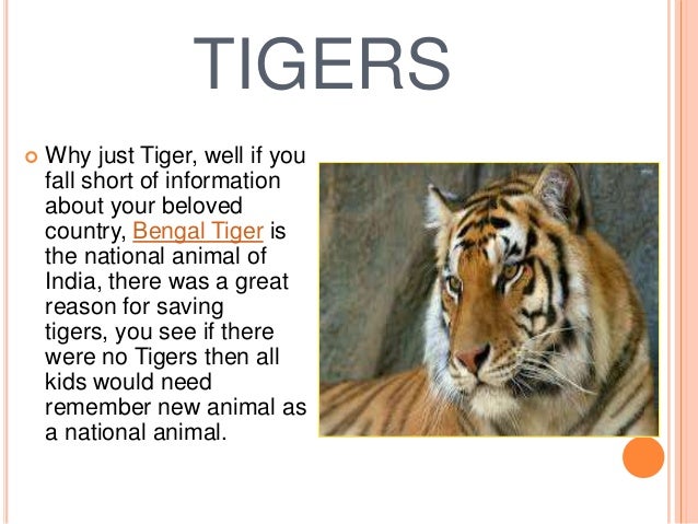 Save the tigers
